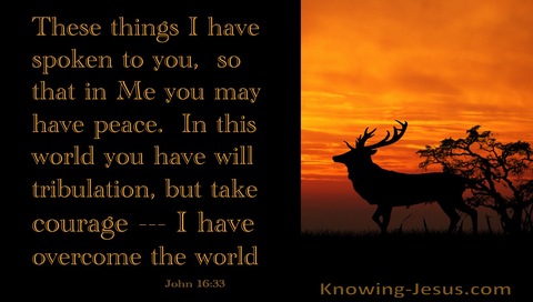 John 16:33 Take Courage I Have Overcome The World (brown)